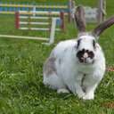 lovemysack